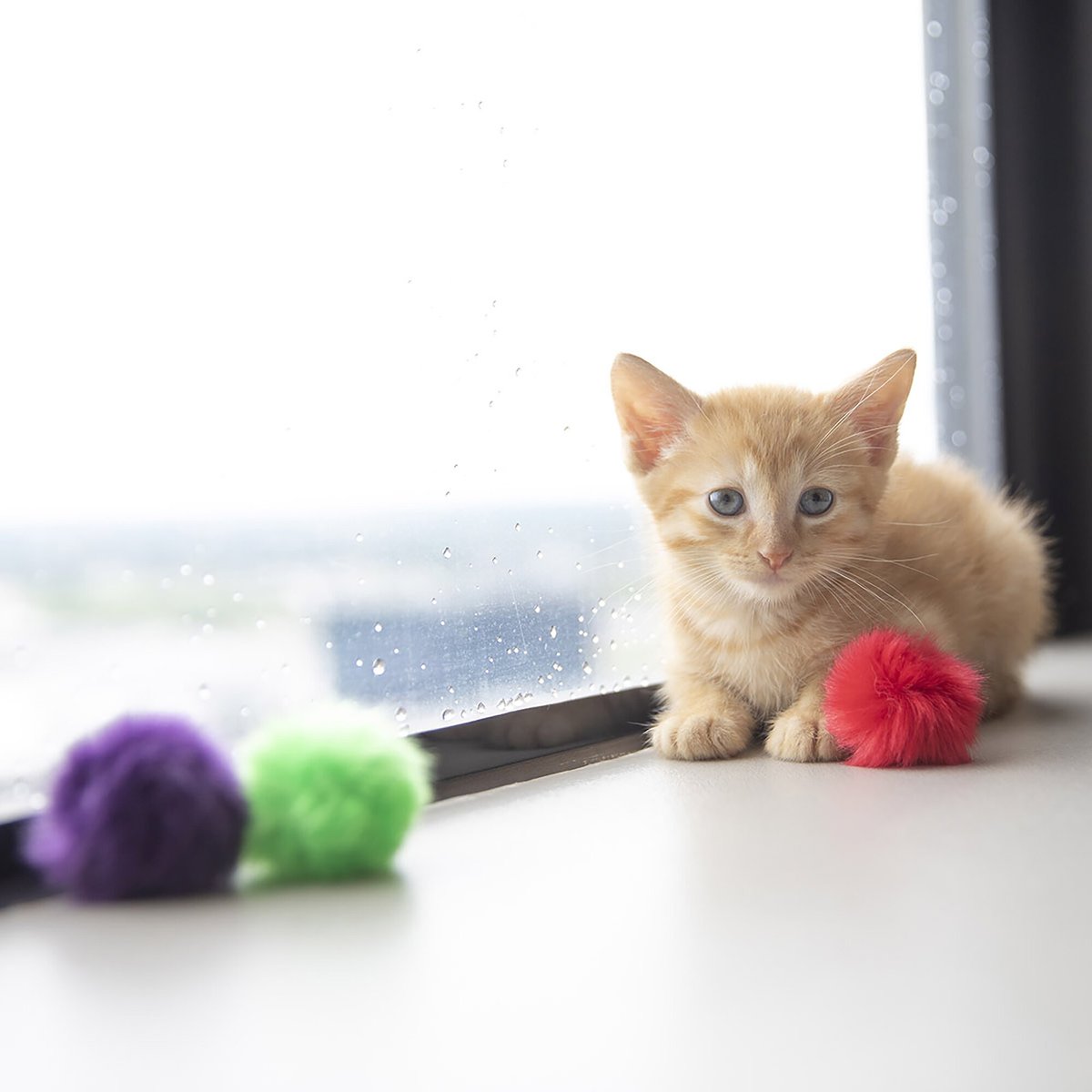 JW PET Fun Fluffs Cat Toys, 3 count