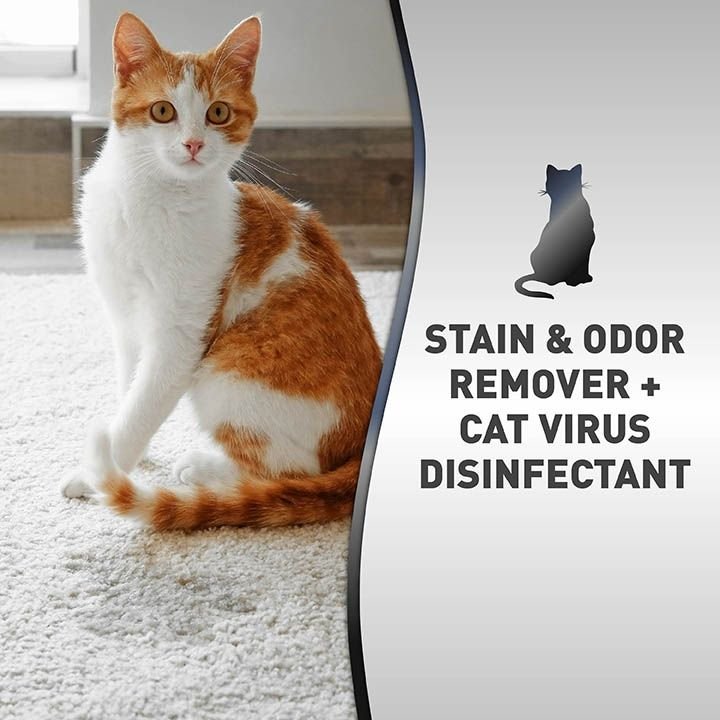 NATURE'S MIRACLE Advanced Platinum Cat Antibacterial Stain Remover