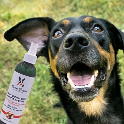 Warren London Dog Dental Spray & Water Additive, 8-oz bottle