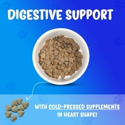 Forza10 Nutraceutic Active Intestinal Support Diet Dry Dog Food, 22-lb bag slide 2 of 7