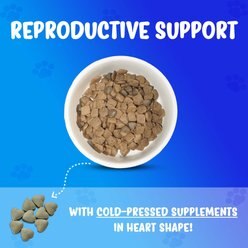 Forza10 Nutraceutic Active Reproductive Male Diet Dry Dog Food, 18-lb bag slide 2 of 6