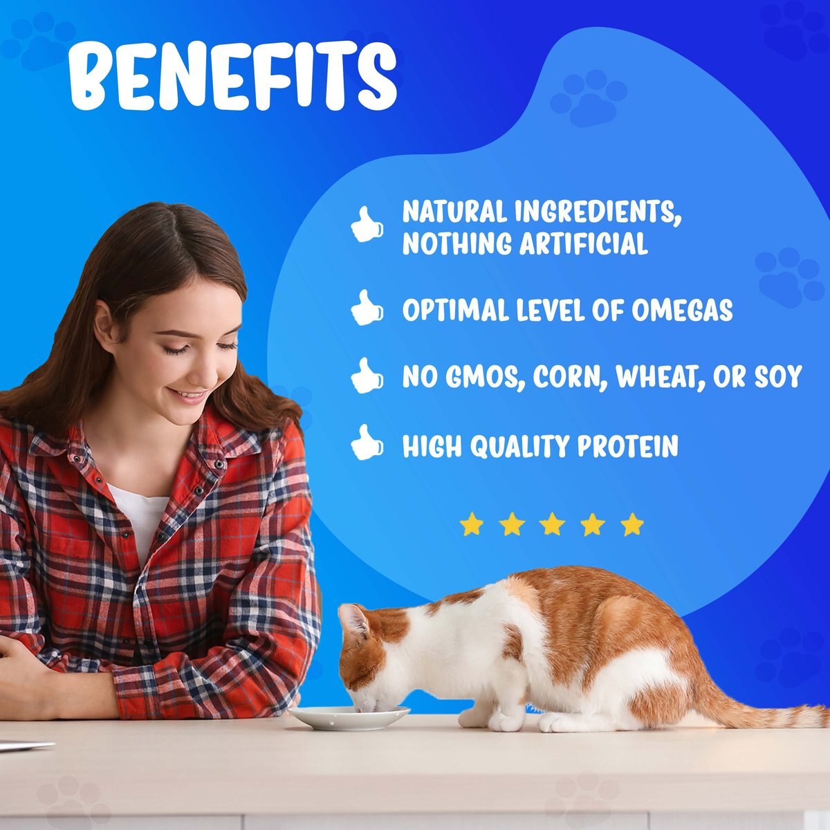 Forza10 Nutraceutic ActiWet Diabetic Support Icelandic Fish Recipe Canned Cat Food