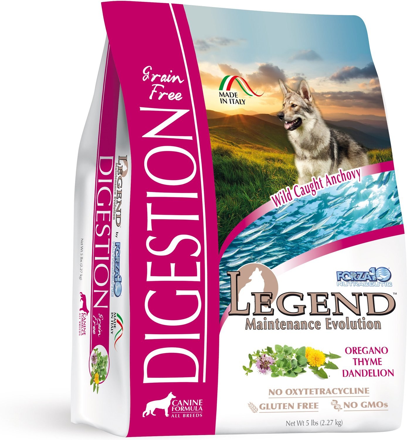 easy digestion dog food