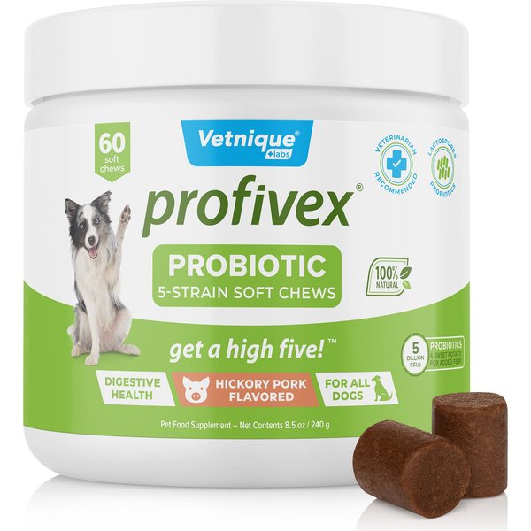 PETLAB CO. Probiotic Pork Flavored Soft Chews Digestive Supplement for ...