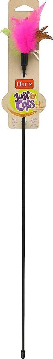 Hartz Feather Frenzy Medium Bird Toy