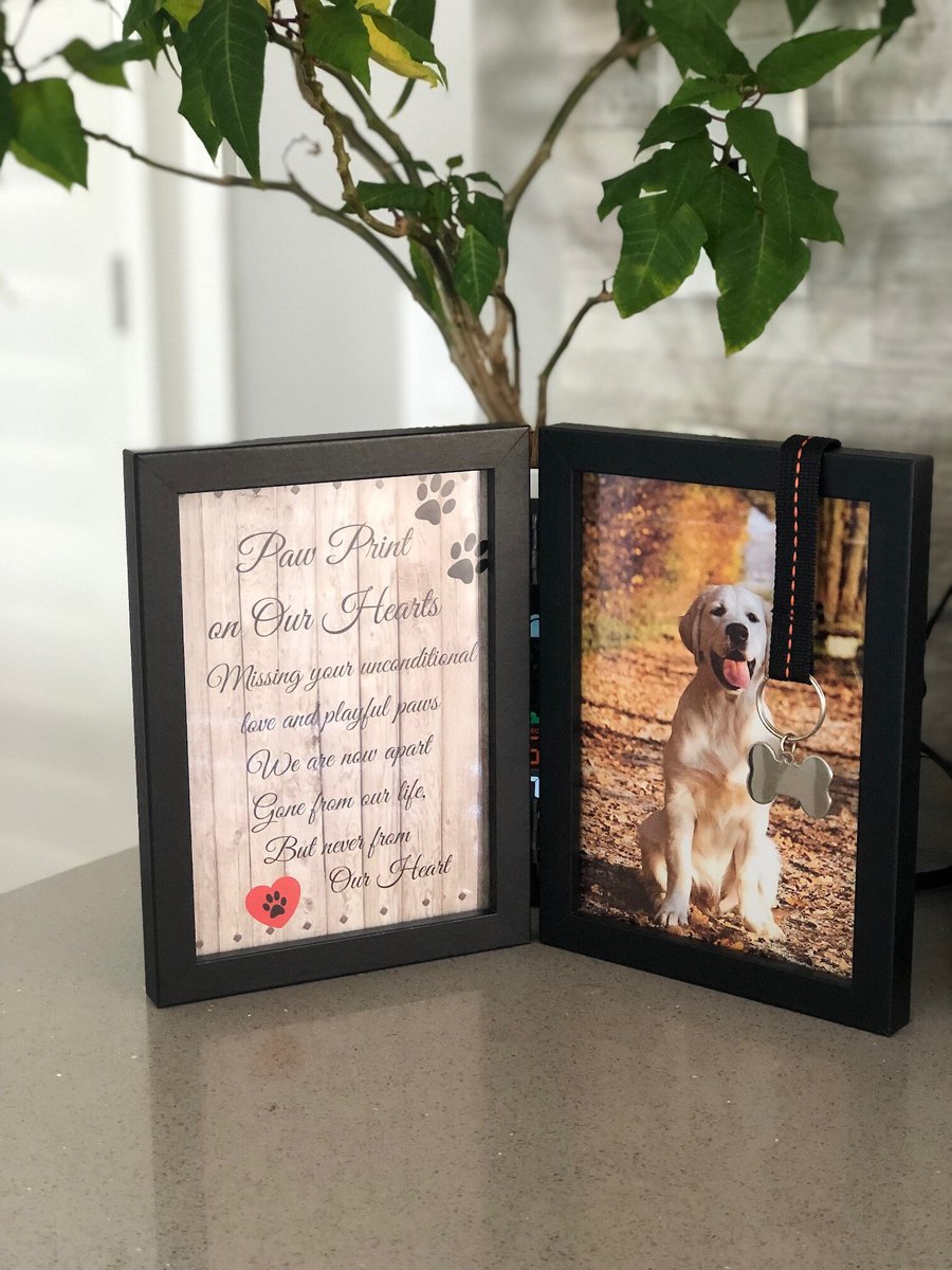 PAWPRINTS REMEMBERED Pet Memorial Stone with Picture Frame 