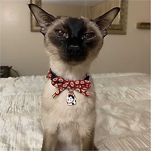 Necoichi ZEN Hariko Charm Cotton Breakaway Cat Collar with Bell, Red, 8.2 to 13.7-in neck, 2/5-in wide