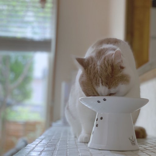Necoichi Extra Wide Ceramic Elevated Cat Food Bowl, 2-cup