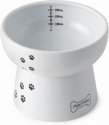 Necoichi Ceramic Elevated Dog Water Bowl, 12-oz