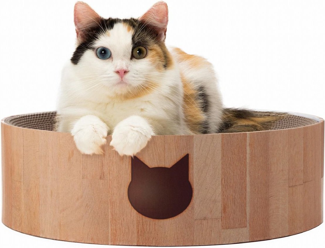 Cat Scratcher. Тарелочный сет для кошек. Cat Bowl. Cosy Cat.