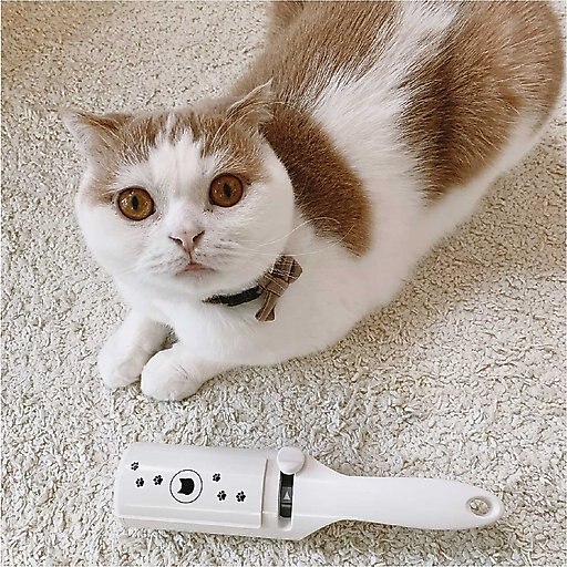 Necoichi Purrfection Neat & Easy Feline Hair Remover