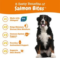 Zesty Paws Salmon Bites Salmon Flavored Soft Chews Skin & Coat Supplement for Dogs, 250 count slide 2 of 9