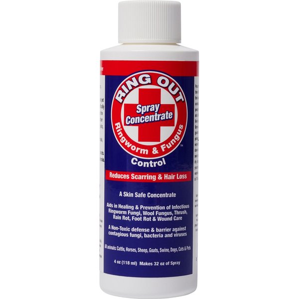 SAFE-GUARD Equine Paste Horse Dewormer, 10%, 92-gm tube - Chewy.com