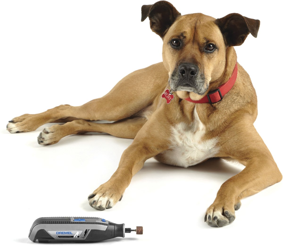 Dremel dog grooming outlet kit