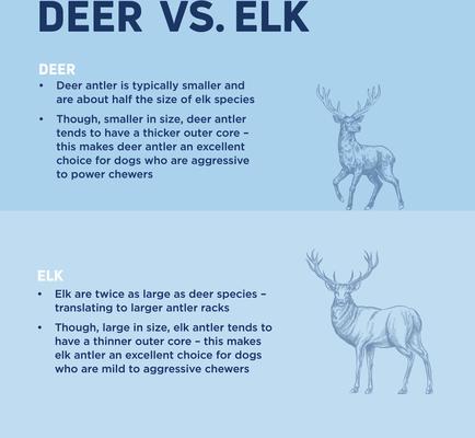 Show full view: Barkworthies Split Elk Antler Dog Chew, Large slide 3 of 9