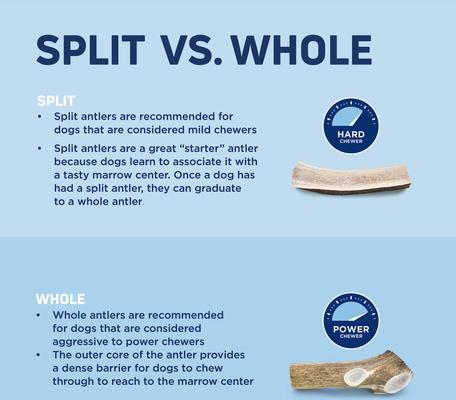 Show full view: Barkworthies Split Elk Antler Dog Chew, Large slide 4 of 9