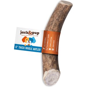 Jack & Pup Whole Elk Antler 6-in Natural Flavor Dog Chew