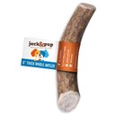 Jack & Pup Medium Whole Elk Antler Extra Thick Dog Chew Treats, 6-in