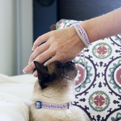 Show full view: Pettsie Cat Collar, 7.5-in, Purple slide 6 of 9