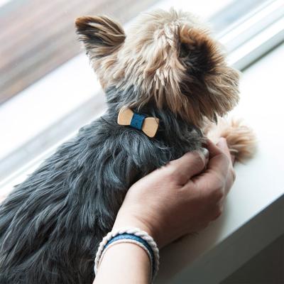 Show full view: Pettsie Bow Tie Dog Collar, Blue, Small slide 6 of 9