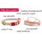 Show in main carousel: Pettsie Kitten Collar, 5-in, Red slide 3 of 10