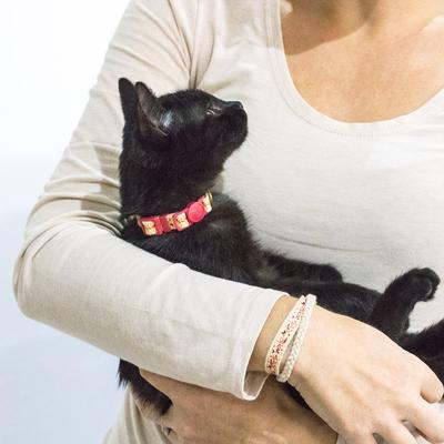 Show full view: Pettsie Kitten Collar, 5-in, Red slide 7 of 10