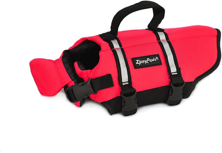 chewy life vest