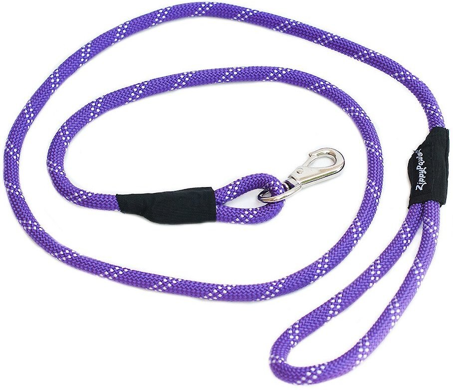 Zippypaws Lightweight Climbers Dog Leash Purple 6 Ft