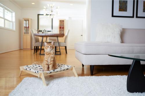 Show full view: Primetime Petz Elevated Cat & Dog Bed with Reversible Fabric Hammock, Neutral Paint Spots/Crosses slide 8 of 9