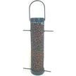 C&S Woodpecker Suet Nuggets Wild Bird Food, 8-lb box - Chewy.com