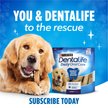 Show in main carousel: DentaLife Daily Oral Care Large Dental Dog Treats, 60 count slide 9 of 11