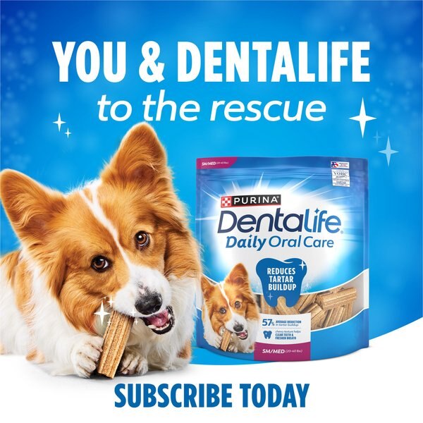 Show full view: DentaLife Daily Oral Care Small/Medium Dental Dog Treats, 94 count slide 9 of 11
