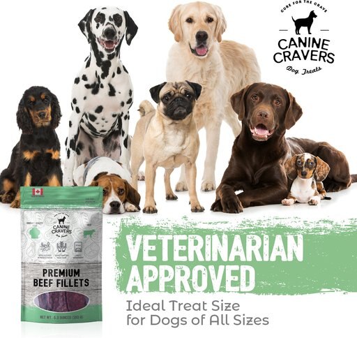 Canine Cravers Premium Beef Fillets Dehydrated Dog Treats, 5.3-oz pouch