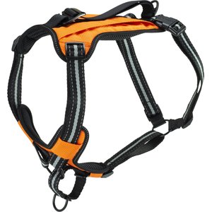 PetSafe Walk Along Nylon Reflective Back Clip Dog Harness, Orange, Medium: 24 to 34-in chest