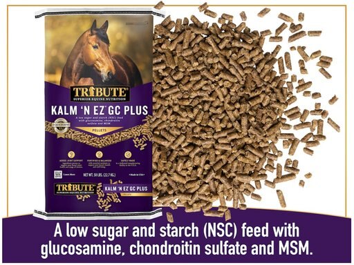 Tribute Equine Nutrition Kalm 'N EZ GC Plus Low-NSC, Joint Support Horse Feed, 50-lb bag