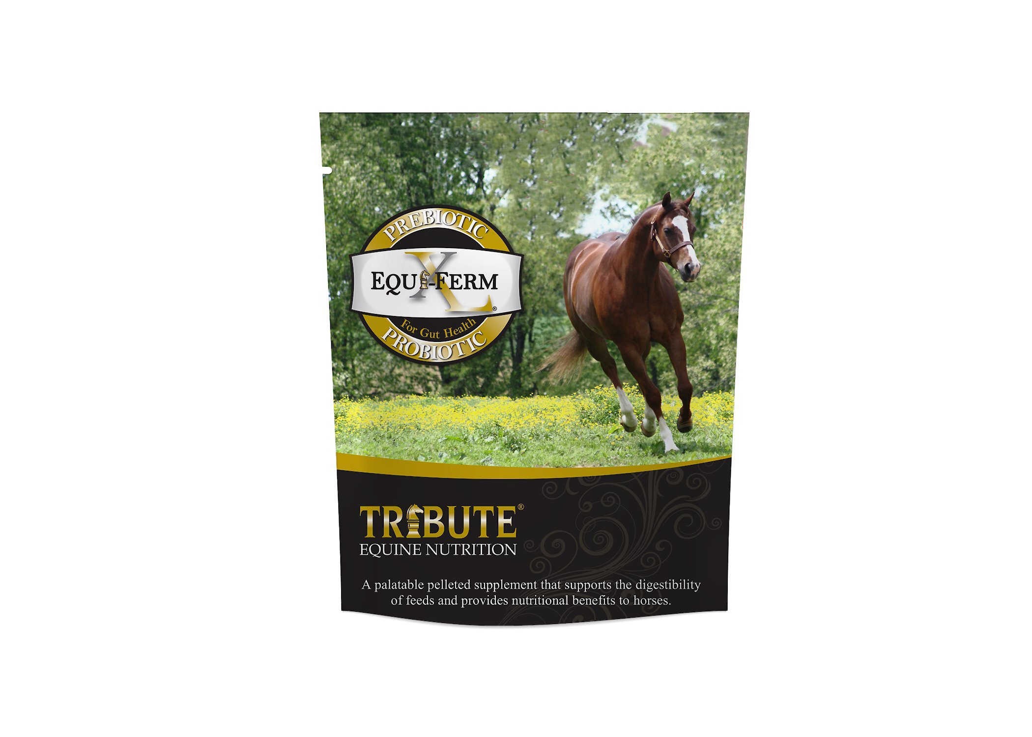 TRIBUTE EQUINE NUTRITION EquiFerm XLarge Prebiotic & Probiotic
