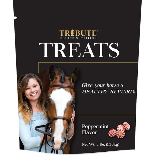 ENJOY YUMS AllNatural Peppermint Horse Treats, 1lb bag