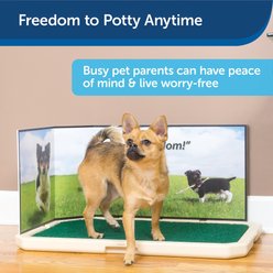 PetSafe Piddle Place Indoor & Outdoor Dog Potty Super Bundle slide 2 of 6