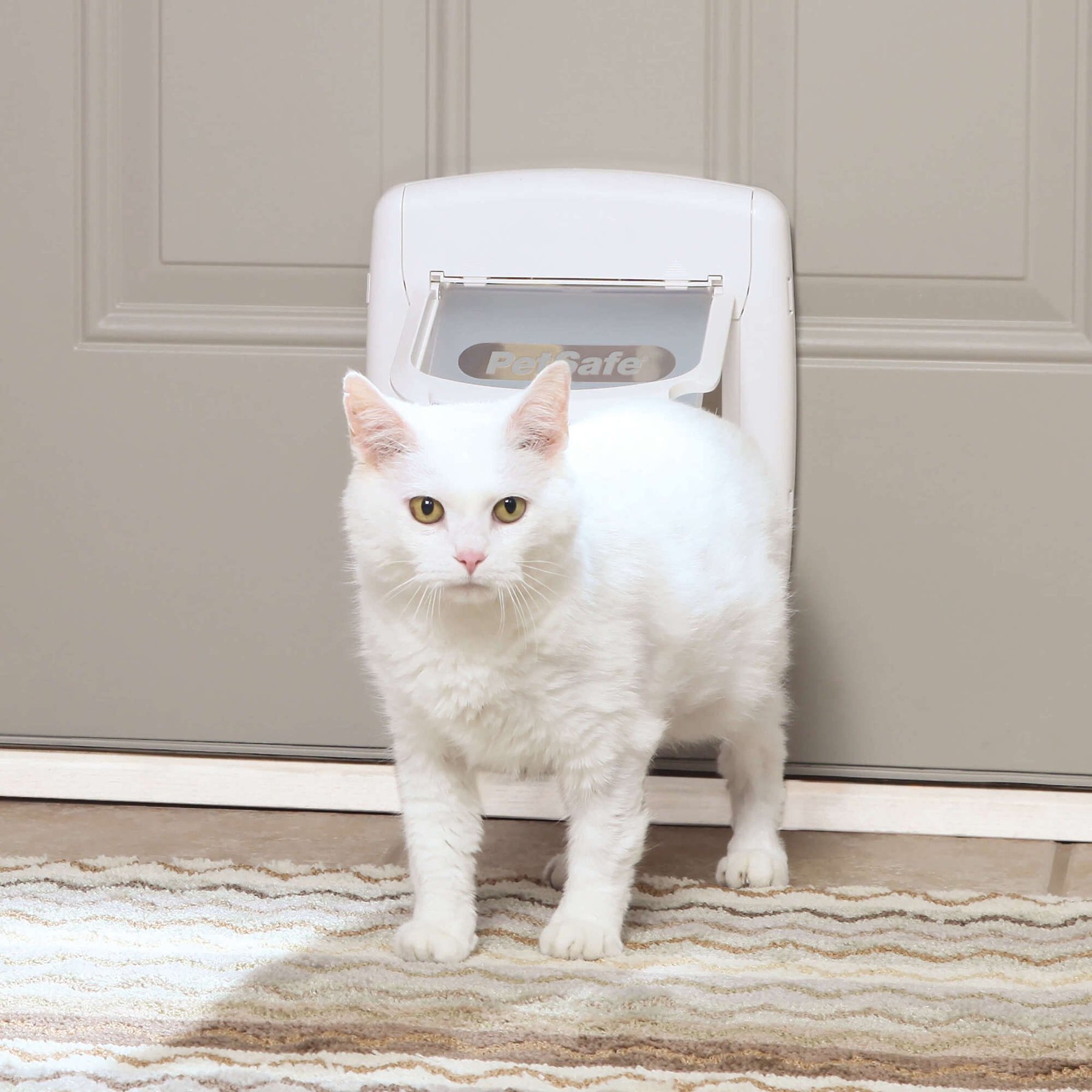 Chewy cat door sale