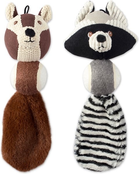 Bone Dry Squirrel & Raccoon Squeaker Bone Dog Toys