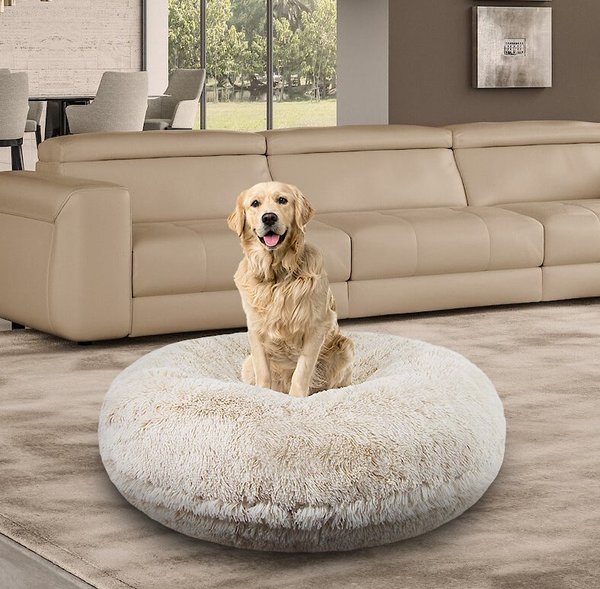 Bessie + Barnie Bagel Bolster Dog Bed w/Removable Cover, Blondie, X-Small slide 1 of 7