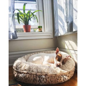 Bessie + Barnie Bagel Bolster Dog Bed with Removable Cover, Leopard/White, Medium