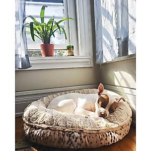 Bessie + Barnie Signature Short Shag Luxury Extra Plush Faux Fur Bagel Dog & Cat Bed, Leopard/White, X-Large