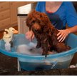 Pet Gear Dog Bathing Tub