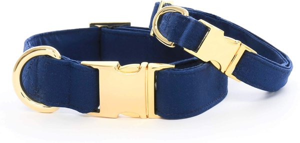 Navy Velvet Dog Collar – The Foggy Dog