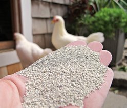 Standlee The Chicken Chick Sweet Coop Odor Absorbent, 5-lb bag slide 2 of 2