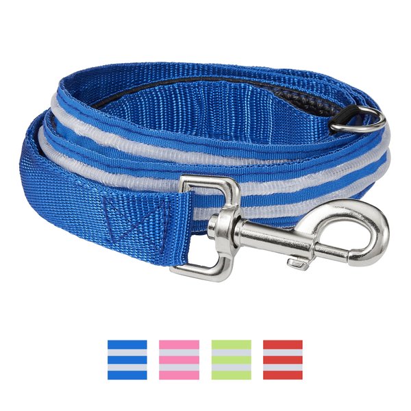 4id LED Lite Up Nylon Dog Leash, Blue, 5-ft long, 2-in wide slide 1 of 6
