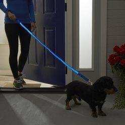 4id LED Lite Up Nylon Dog Leash, Blue, 5-ft long, 2-in wide slide 2 of 6