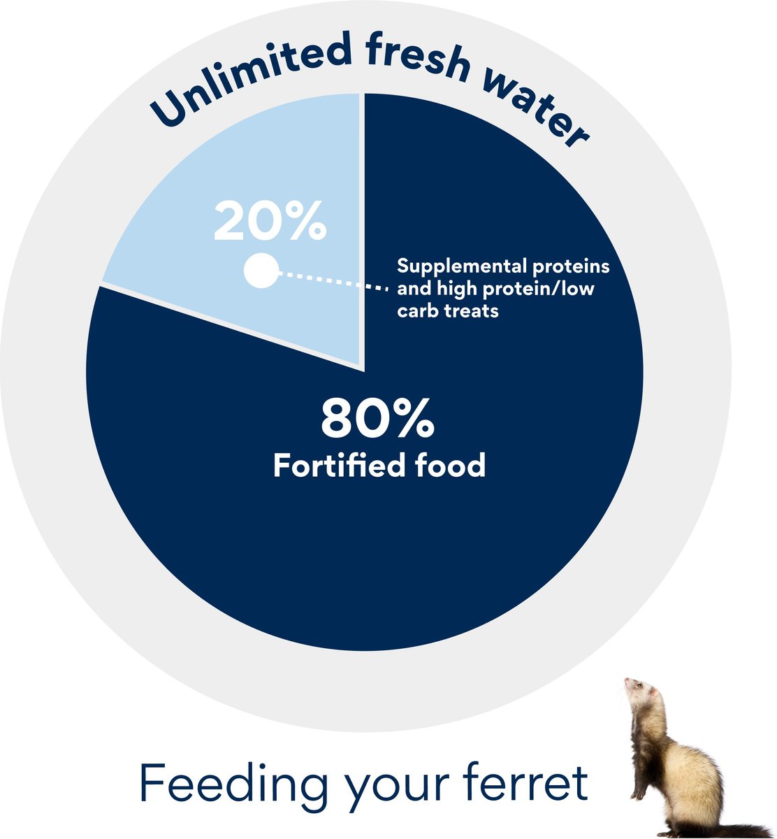 WYSONG Archetype Raw Quail Diet FreezeDried Ferret Food, 7.5oz bag