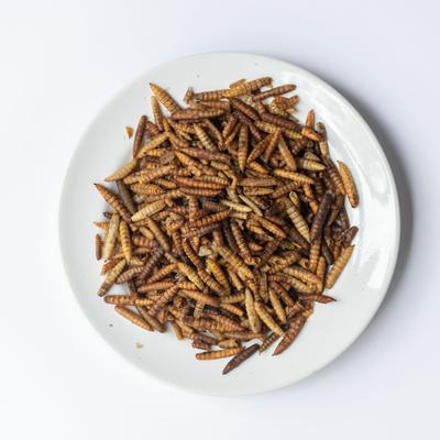 Show full view: Grubbly Farms Grubblies Oven-Dried Non-GMO Black Soldier Fly Grubs Chicken Treats, 1-lb bag slide 3 of 5